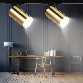Светильник на штанге Эра  TR39-GU10 BS в Карталах - kartaly.ok-mebel.com | фото 7