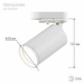Светильник на штанге Эра  TR39-GU10 WH в Карталах - kartaly.ok-mebel.com | фото 7