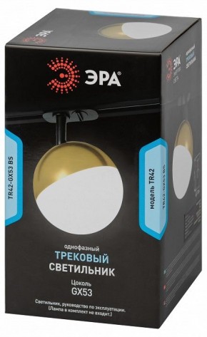 Светильник на штанге Эра  TR42-GX53 BS в Карталах - kartaly.ok-mebel.com | фото 6