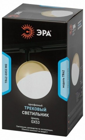 Светильник на штанге Эра  TR42-GX53 MG в Карталах - kartaly.ok-mebel.com | фото 6