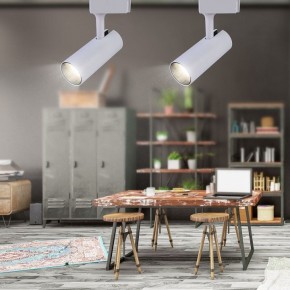 Светильник на штанге Эра  TR5-20 COB WH в Карталах - kartaly.ok-mebel.com | фото 4