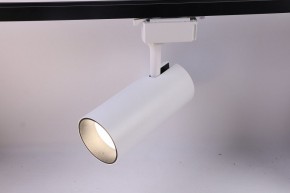 Светильник на штанге Эра  TR5-30 COB WH в Карталах - kartaly.ok-mebel.com | фото 2