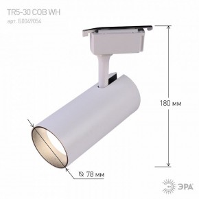 Светильник на штанге Эра  TR5-30 COB WH в Карталах - kartaly.ok-mebel.com | фото 6