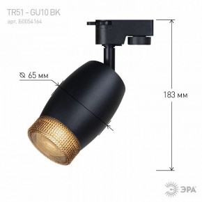 Светильник на штанге Эра  TR51 - GU10 BK в Карталах - kartaly.ok-mebel.com | фото 4