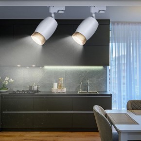 Светильник на штанге Эра  TR51 - GU10 WH в Карталах - kartaly.ok-mebel.com | фото 3