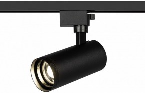 Светильник на штанге Эра  TR59 - 2040 BK в Карталах - kartaly.ok-mebel.com | фото 5