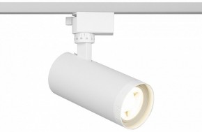 Светильник на штанге Эра  TR59 - 2040 WH в Карталах - kartaly.ok-mebel.com | фото