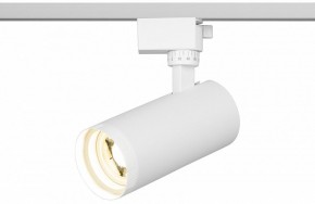 Светильник на штанге Эра  TR59 - 2040 WH в Карталах - kartaly.ok-mebel.com | фото 5