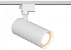 Светильник на штанге Эра  TR59 - 3030 WH в Карталах - kartaly.ok-mebel.com | фото
