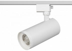 Светильник на штанге Эра  TR59 - 3030 WH в Карталах - kartaly.ok-mebel.com | фото 2