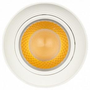 Светильник на штанге Эра  TR59 - 3030 WH в Карталах - kartaly.ok-mebel.com | фото 3