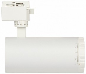 Светильник на штанге Эра  TR59 - 3030 WH в Карталах - kartaly.ok-mebel.com | фото 4