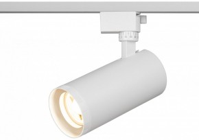 Светильник на штанге Эра  TR59 - 3030 WH в Карталах - kartaly.ok-mebel.com | фото 5