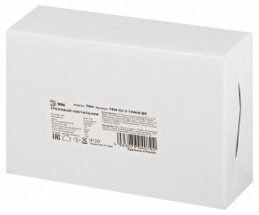 Светильник на штанге Эра  TRM-S5-3-12W4K-BK в Карталах - kartaly.ok-mebel.com | фото 8