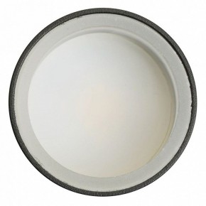 Светильник на штанге Feron ML1001 51371 в Карталах - kartaly.ok-mebel.com | фото 4