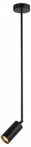 Светильник на штанге Kink Light Рия 07621-1,19 в Карталах - kartaly.ok-mebel.com | фото