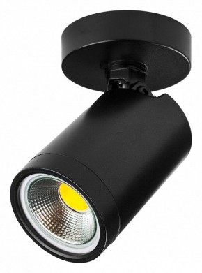 Светильник на штанге Lightstar Rullo 213407 в Карталах - kartaly.ok-mebel.com | фото