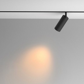 Светильник на штанге Maytoni Artisan TR097-2-12W2.7K-M-BB в Карталах - kartaly.ok-mebel.com | фото 4