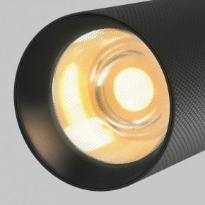 Светильник на штанге Maytoni Artisan TR097-2-12W2.7K-M-BB в Карталах - kartaly.ok-mebel.com | фото 9