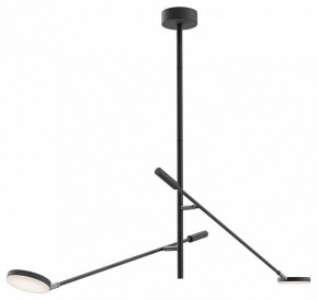 Светильник на штанге Maytoni Fad MOD070CL-L15B3K1 в Карталах - kartaly.ok-mebel.com | фото