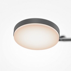 Светильник на штанге Maytoni Fad MOD070CL-L15B3K1 в Карталах - kartaly.ok-mebel.com | фото 7