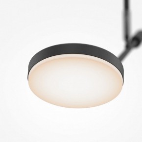 Светильник на штанге Maytoni Fad MOD070CL-L8B3K в Карталах - kartaly.ok-mebel.com | фото 4