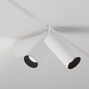 Светильник на штанге Maytoni Focus LED TR032-4-20WTW-M-DSZ-W в Карталах - kartaly.ok-mebel.com | фото 4