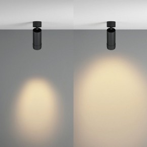 Светильник на штанге Maytoni Focus Zoom C055CL-L12W2.7K-Z-B в Карталах - kartaly.ok-mebel.com | фото 3