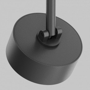 Светильник на штанге Maytoni Lens TR217-2-15W3K-B в Карталах - kartaly.ok-mebel.com | фото 11