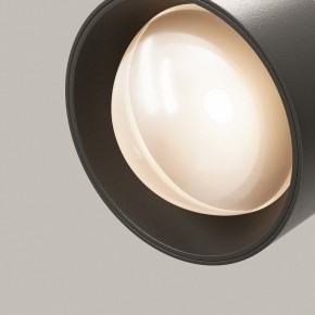 Светильник на штанге Maytoni Lens TR217-2-15W3K-B в Карталах - kartaly.ok-mebel.com | фото 12