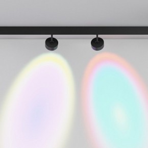 Светильник на штанге Maytoni Lens TR217-2-15W4K-B в Карталах - kartaly.ok-mebel.com | фото 6