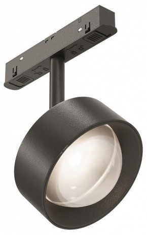 Светильник на штанге Maytoni Lens TR217-4-15WTW-DD-B в Карталах - kartaly.ok-mebel.com | фото