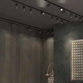 Светильник на штанге Novotech Elina 370777 в Карталах - kartaly.ok-mebel.com | фото 4