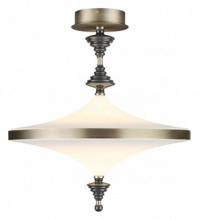 Светильник на штанге Odeon Light Ula 5404/43CL в Карталах - kartaly.ok-mebel.com | фото 2