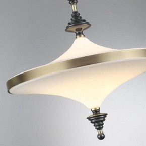 Светильник на штанге Odeon Light Ula 5404/43CL в Карталах - kartaly.ok-mebel.com | фото 6