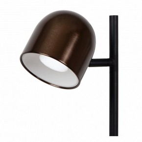 Торшер Lucide Skanska Rech 03749/03/96 в Карталах - kartaly.ok-mebel.com | фото 3