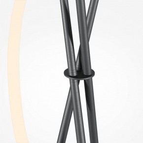 Торшер Maytoni Crochet MOD369FL-L36B3K в Карталах - kartaly.ok-mebel.com | фото 8