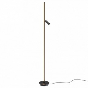 Торшер Maytoni Thin MOD395FL-L28B3K в Карталах - kartaly.ok-mebel.com | фото