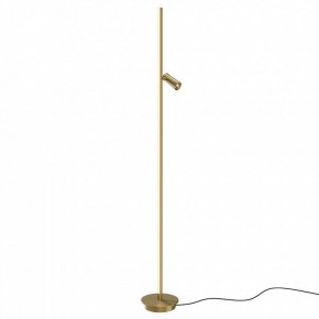 Торшер Maytoni Thin MOD395FL-L28BS3K в Карталах - kartaly.ok-mebel.com | фото