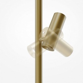 Торшер Maytoni Thin MOD395FL-L28BS3K в Карталах - kartaly.ok-mebel.com | фото 6
