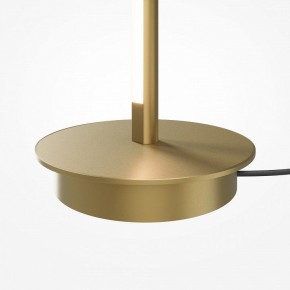 Торшер Maytoni Thin MOD395FL-L28BS3K в Карталах - kartaly.ok-mebel.com | фото 7