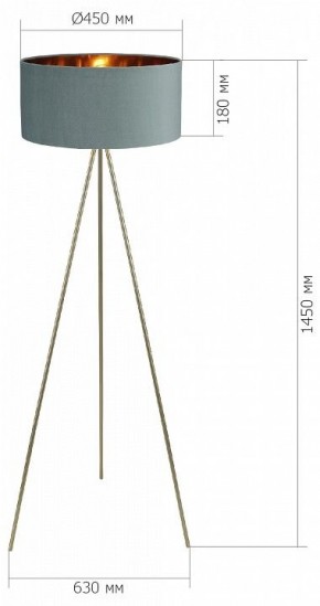 Торшер ST-Luce FUEGO SL6242.705.01 в Карталах - kartaly.ok-mebel.com | фото 4