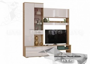 ФЛАЙ Центральная секция ЦС-01 (дуб сонома/белый) в Карталах - kartaly.ok-mebel.com | фото 2