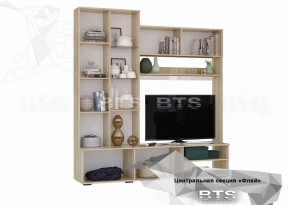 ФЛАЙ Центральная секция ЦС-01 (дуб сонома/белый) в Карталах - kartaly.ok-mebel.com | фото 4