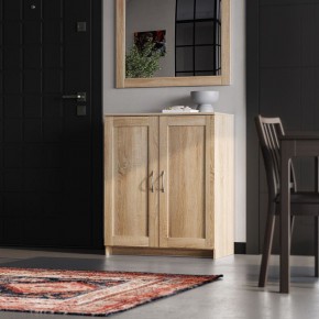 Тумба СИРИУС двухдверная, цвет Дуб Сонома в Карталах - kartaly.ok-mebel.com | фото 4