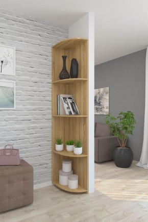 Угловой элемент ЛДСП 2 кат. в Карталах - kartaly.ok-mebel.com | фото 7
