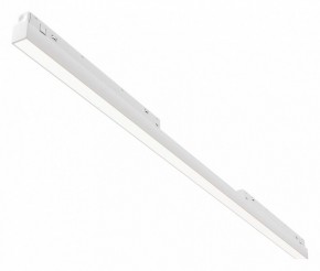 Встраиваемый светильник Maytoni Basis TR030-4-30WTW-DD2-W в Карталах - kartaly.ok-mebel.com | фото