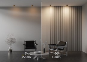 Встраиваемый светильник Maytoni Onda DL024-12W-DTW-BMG в Карталах - kartaly.ok-mebel.com | фото 9