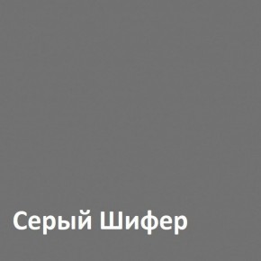 Юнона Шкаф торцевой 13.221 в Карталах - kartaly.ok-mebel.com | фото 2